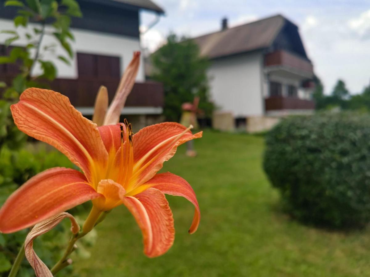 Etno Garden Apartments Plitvica selo Exteriér fotografie